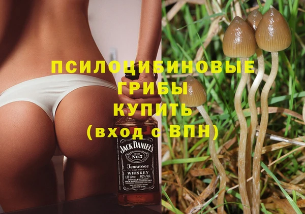гидра Беломорск