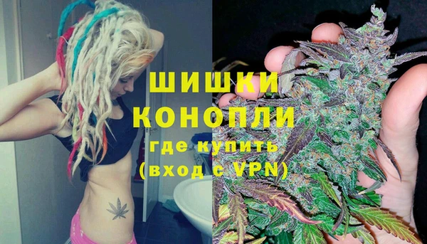 Альфа ПВП Белокуриха