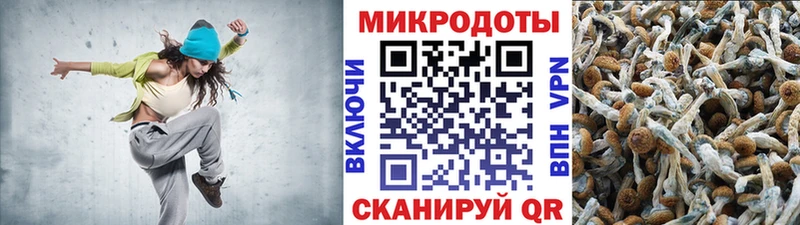 Купить где  Новомосковск  Галлюциногенные грибы Psilocybe 