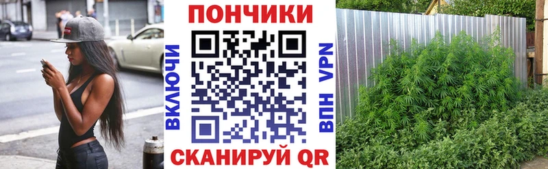 Канабис план  Купить  Новомосковск 